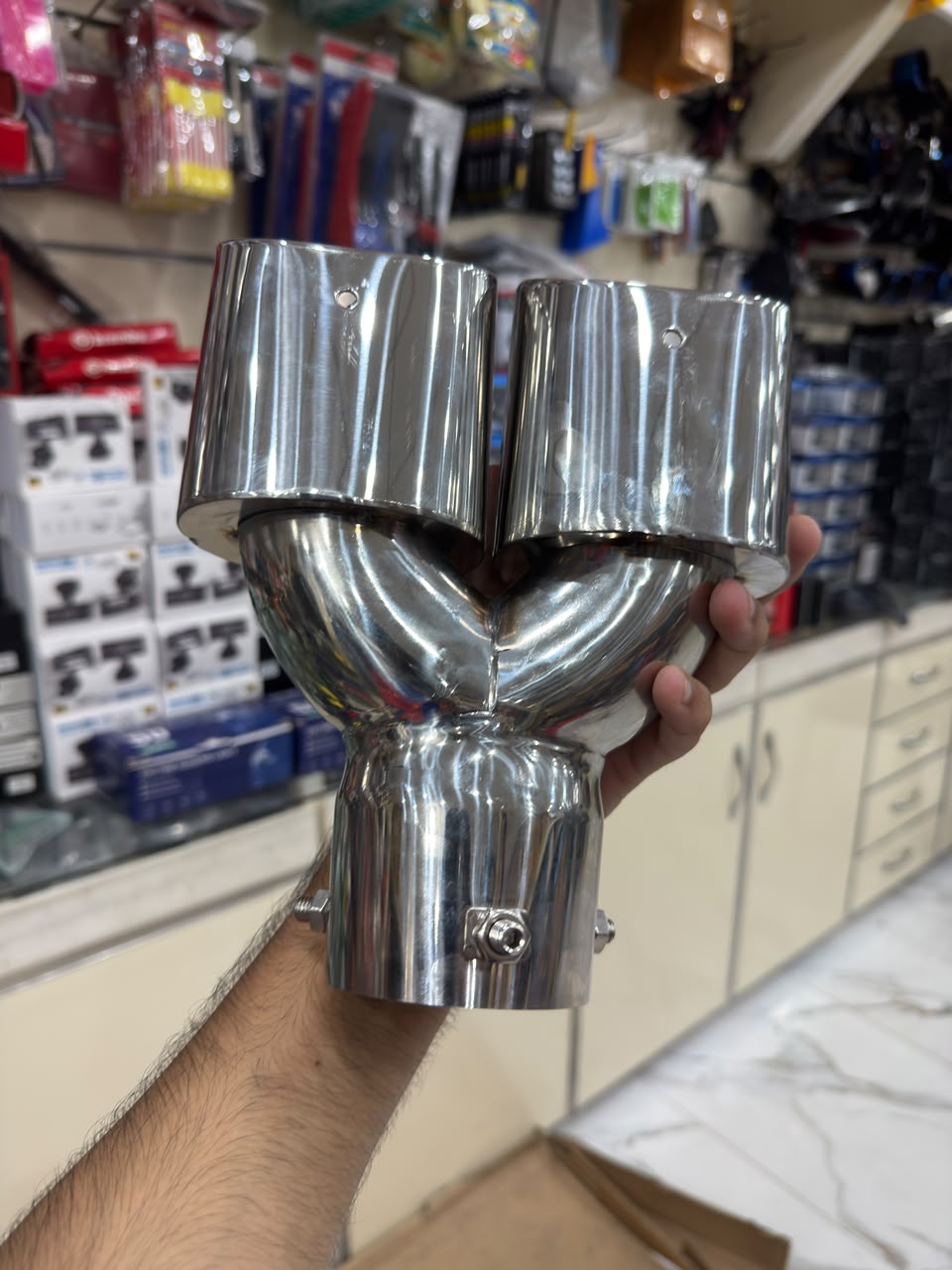 Universal Dual Stainless Steel Exhaust Tip